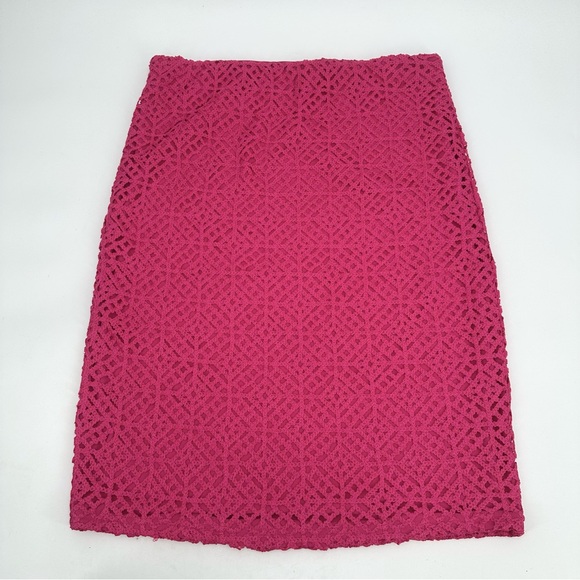CUPIO BLUSH Skirt Womens L Lined Pink Pull On Elastic Waist Midi Overlay - Picture 1 of 8